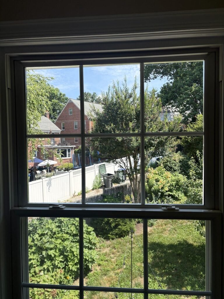 Double-hung window with new glass overlooking a backyard
